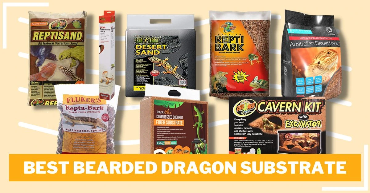 Best Bearded Dragon Substrate