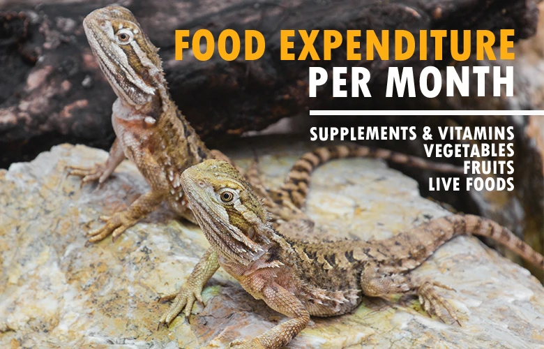 Food Expenditure Per Month