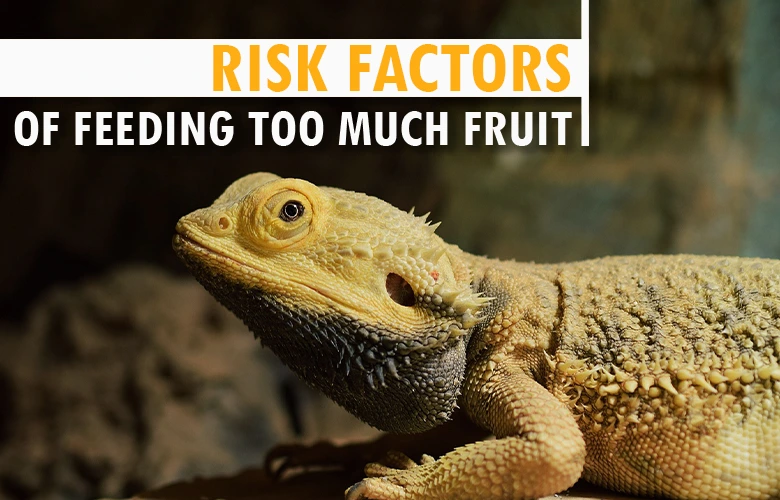 Risk factors of feeding too much fruit