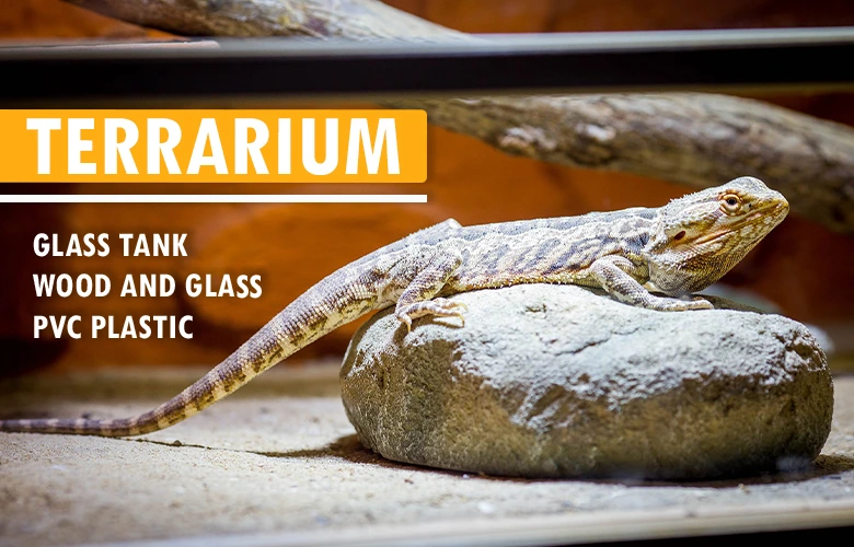 Types of terrariums for Bearded dragons