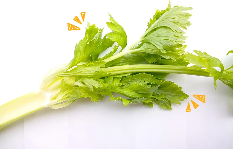 Celery is a good snack for bearded dragons

